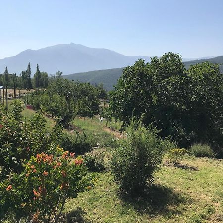 몰티그 Els Pirineus 아파트 외부 사진