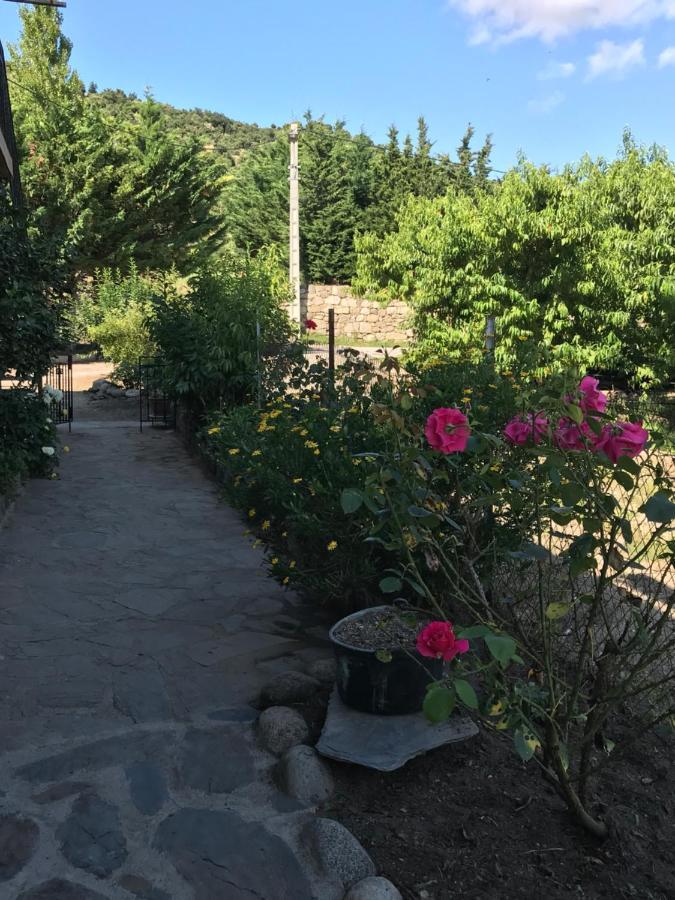 몰티그 Els Pirineus 아파트 외부 사진