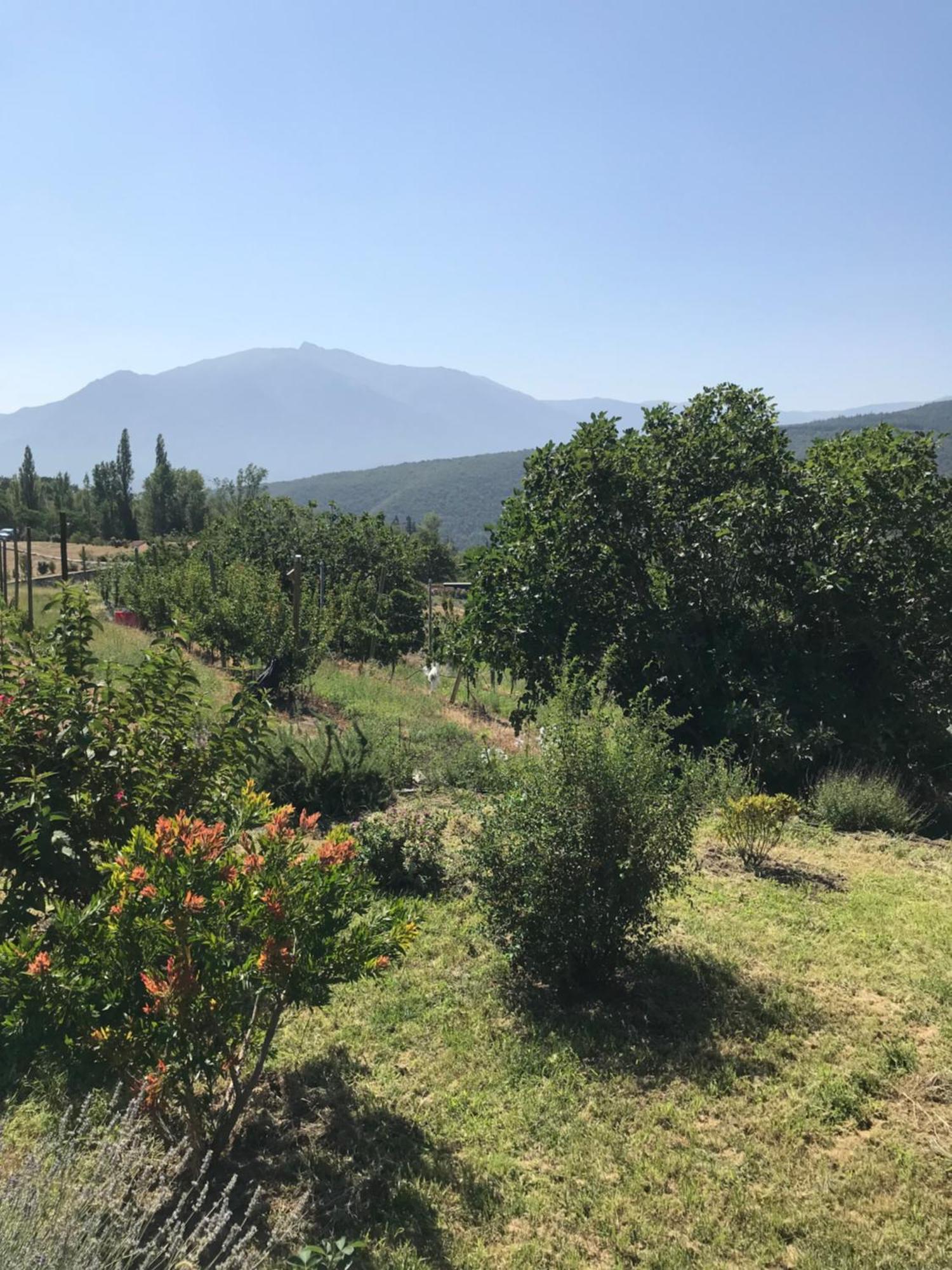 몰티그 Els Pirineus 아파트 외부 사진